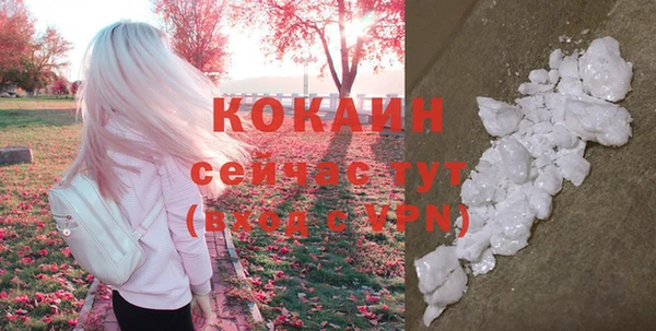 соль ск Алагир