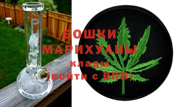 прущие грибы Майский