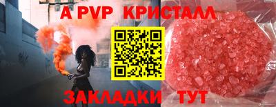 молекула духа Донской