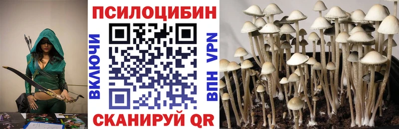 ссылка на мегу ТОР  Калуга  Галлюциногенные грибы прущие грибы 