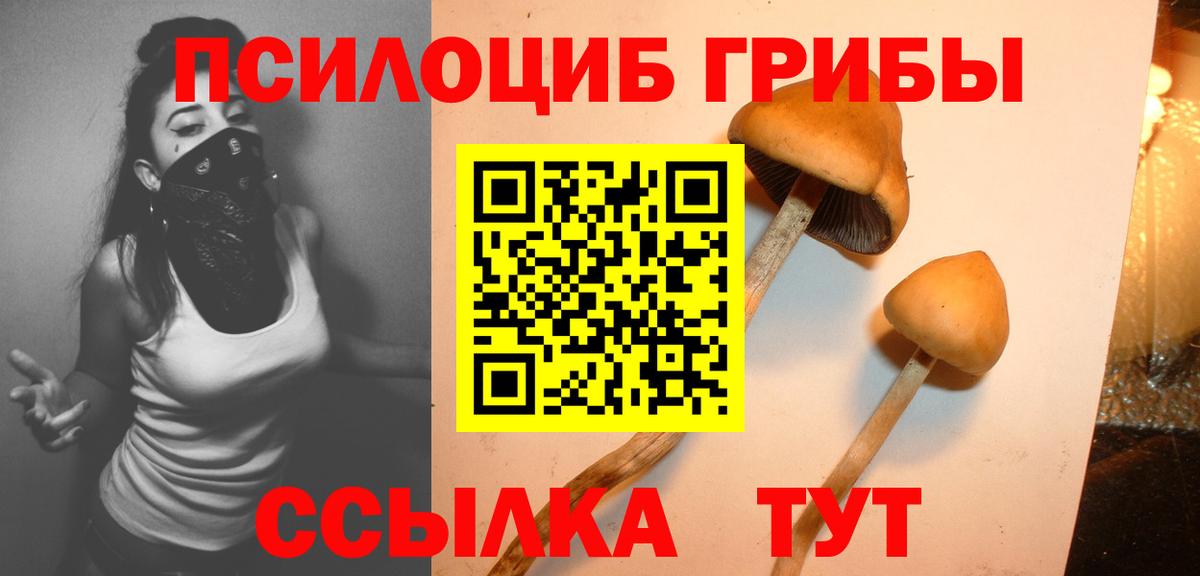 купить   Псилоцибиновые грибы мицелий  Вход с VPN  Калуга 