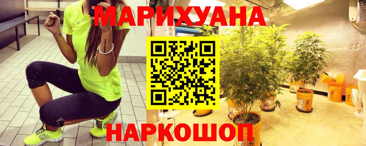 Каннабис ГИДРОПОН Калуга